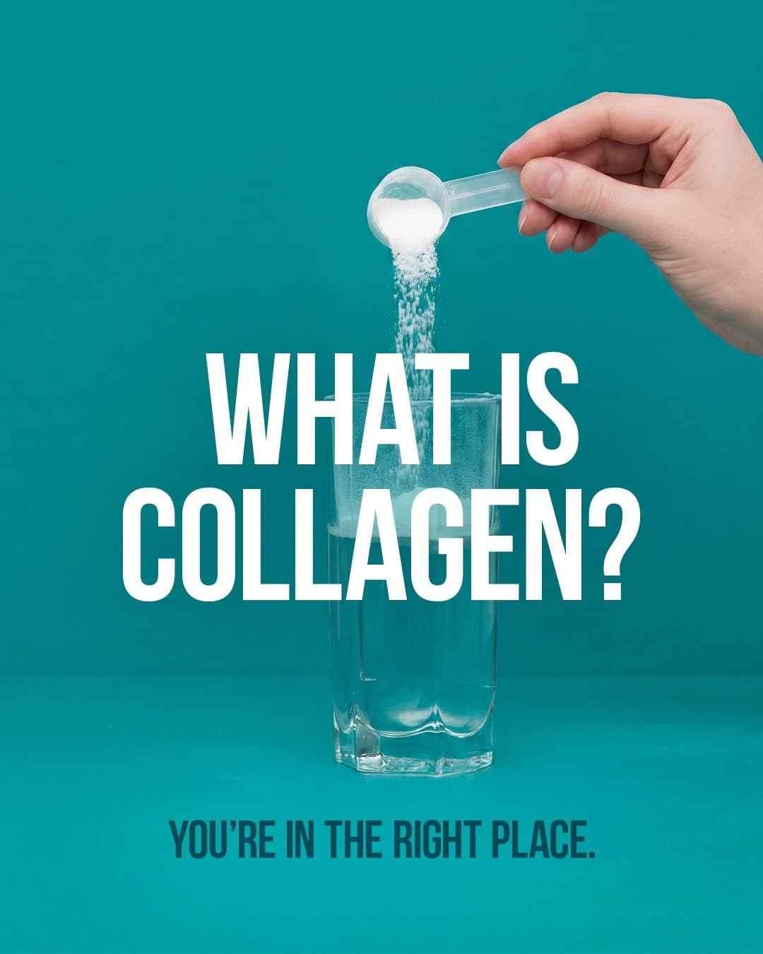 Collagen Slide 1